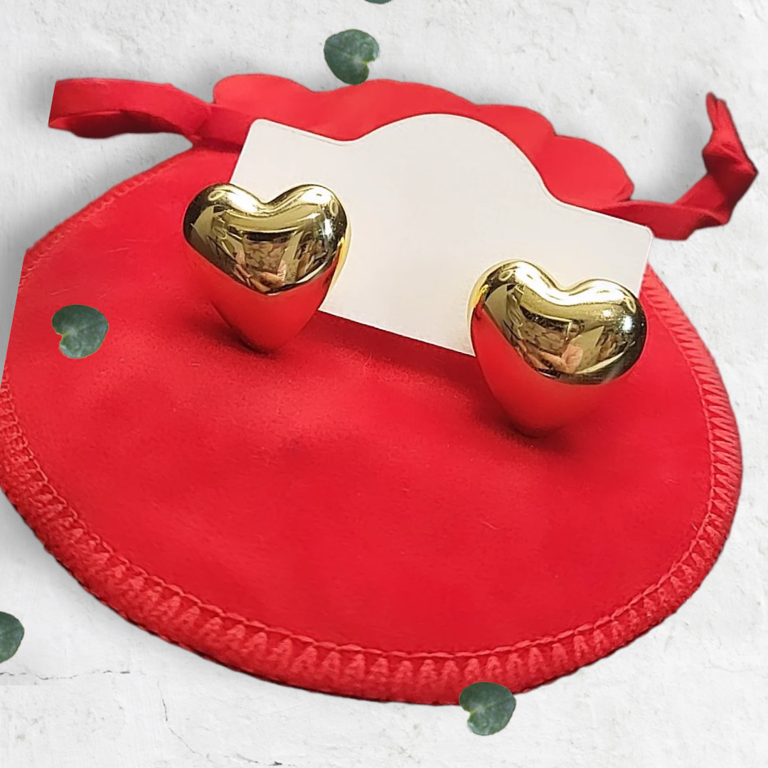 171/Earrings 14k
