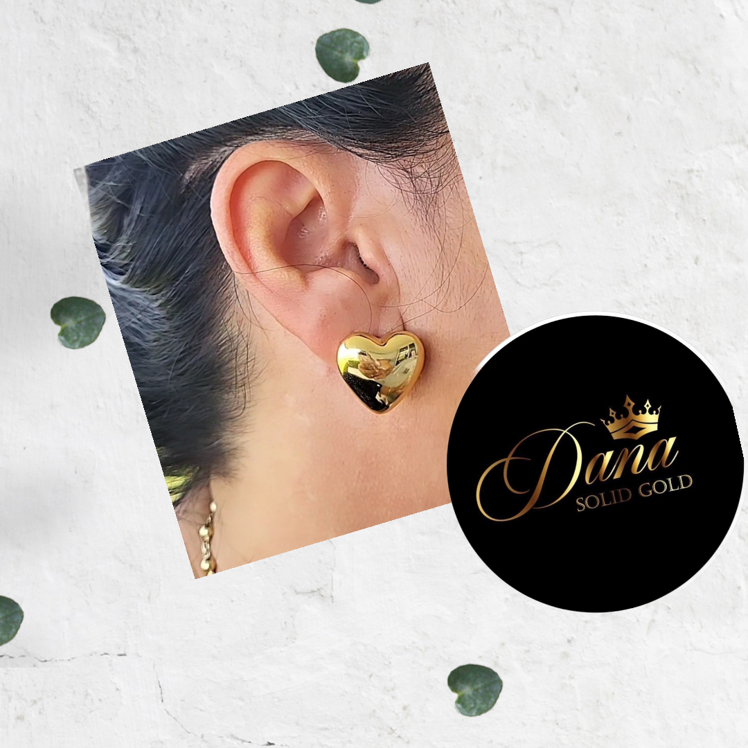 171/Earrings 14k
