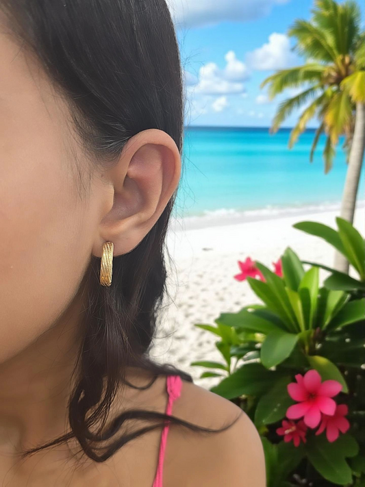 Earrings 10k