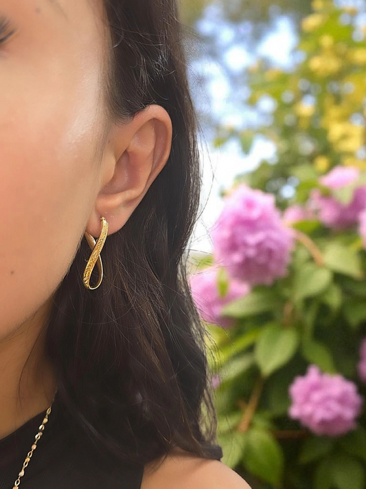 Earrings 10k