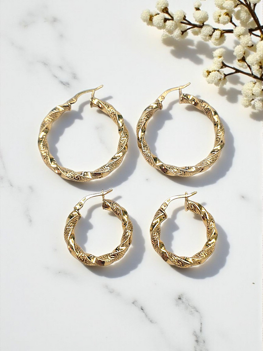 Earrings 10k