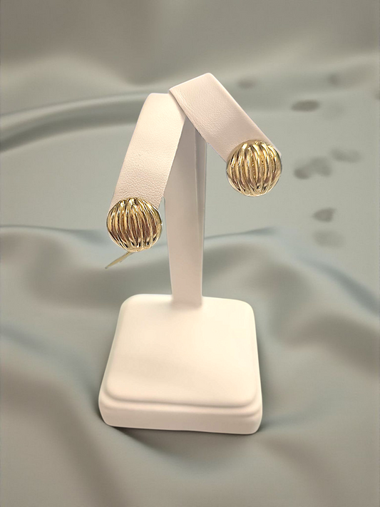 Earrings 10k
