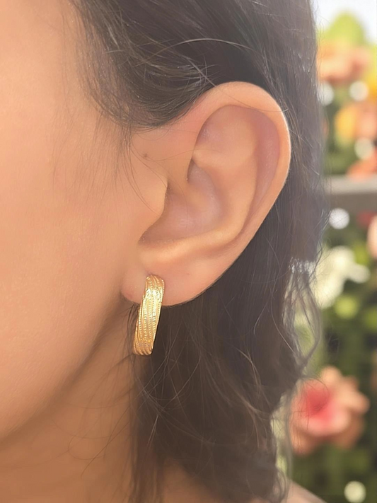 Earrings 10k